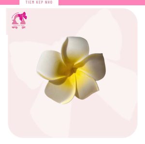kẹp tóc hoa đi biển