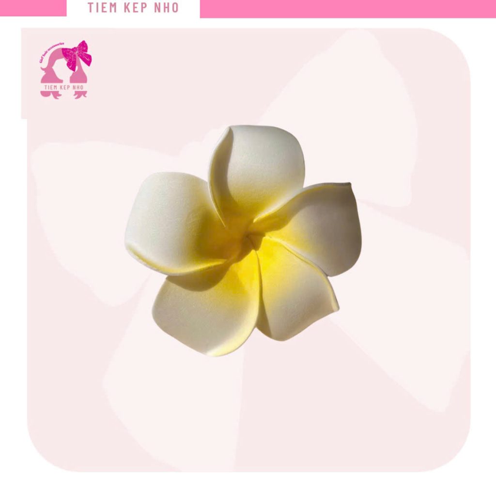 kẹp tóc hoa đi biển
