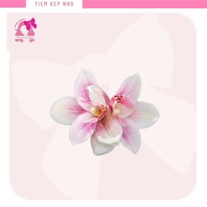 kẹp tóc hoa đi biển